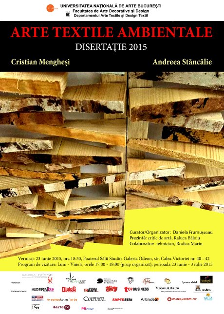 andreea cristi A4 Disertatie UNARTE