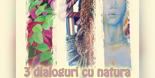 3 dialoguri cu natura @ Muzeul de Artă Tulcea