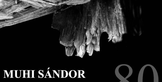 80 –  Muhi Sandor @ Satu Mare
