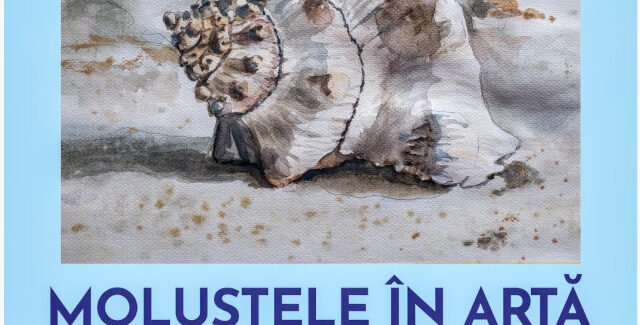 Moluştele în artă @ Muzeul Rezervaţiei Naturale Bucegi – Sinaia