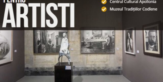 Apel pentru artişti @ Muzeul de Artă Braşov