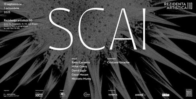 Prima expoziție Rezidența Artistică 110 la Șona: SCAI