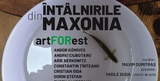 Întâlnirile din Maxonia@ Bistriţa-Năsăud