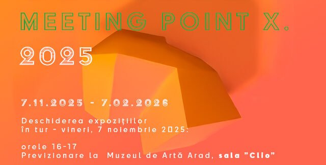 Bienala Arad Meeting Point 2025