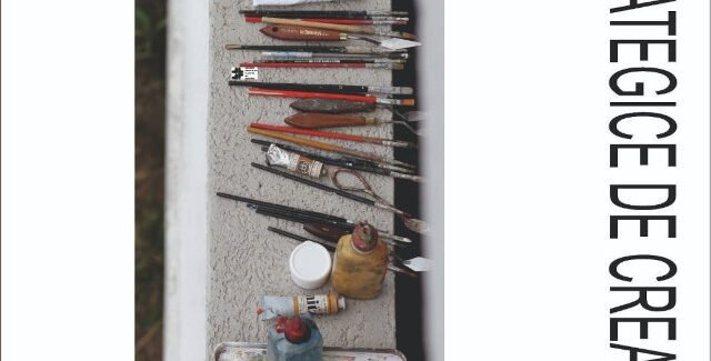 Zone strategice de creaţie @  Bacău