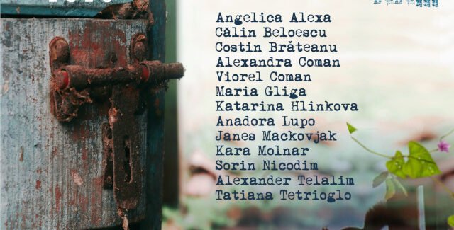 Arta de la Gârnic ajunge la Timișoara. Vernisajul Gernik Art Camp XXIII la Galeria Brăteanu