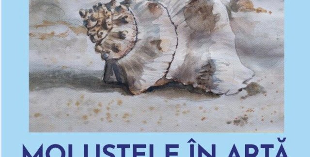 Moluştele în artă @ Muzeul Rezervației Naturale Bucegi din Sinaia