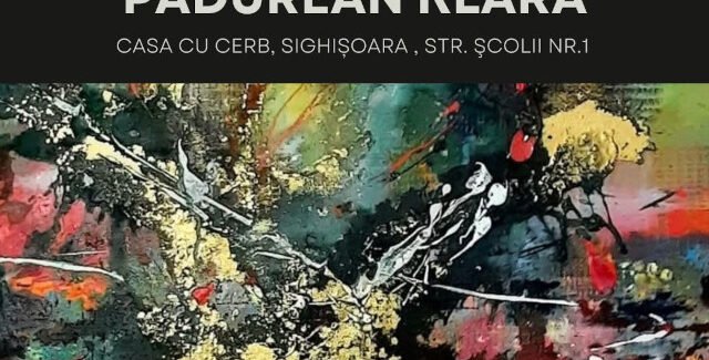 Dincolo de contur @ Sighişoara