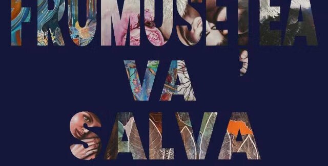 Frumusețea va salva lumea @ CCPB