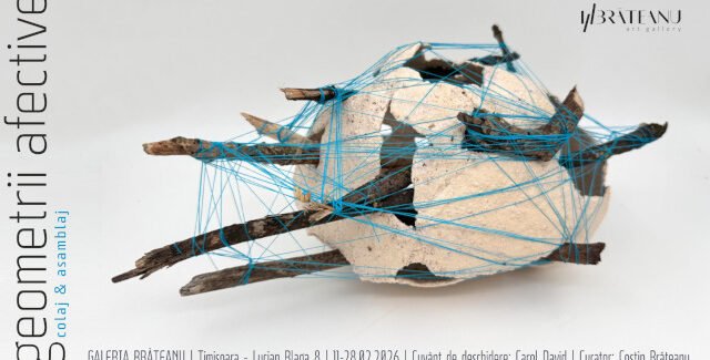 Geometrii afective @ Timișoara