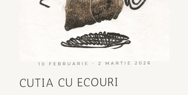 Cutia cu ecouri @ Baia Mare