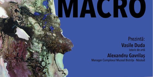 ÎN ABSTRACT – MACRO @ Complexul Muzeal Bistrița-Năsăud