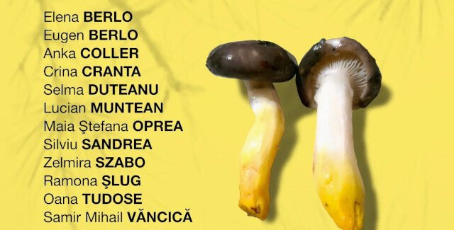 Gradina ideilor @ Muzeul Municipal Curtea de Argeș