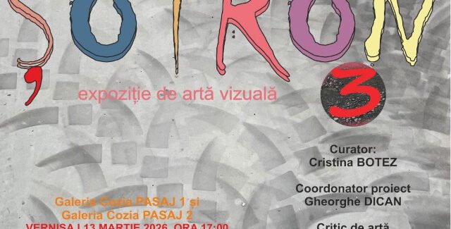 ȘOTRON 3 @ Râmnicu Vâlcea