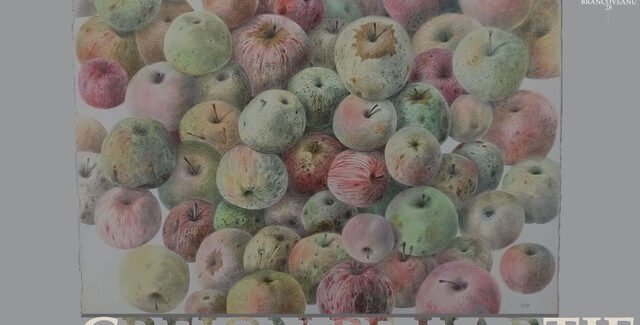 Creion pe hârtie @ Timișoara