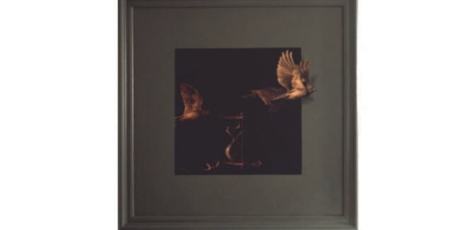 Rataciri printre primăveri @ Câmpina