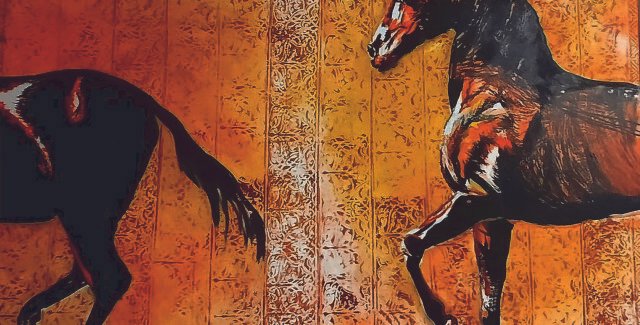 RITMUL CALULUI DE FOC @ Satu Mare