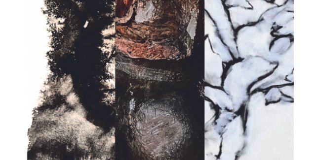 INTROSPECȚII ÎN LUMEA VIE @ CCPB