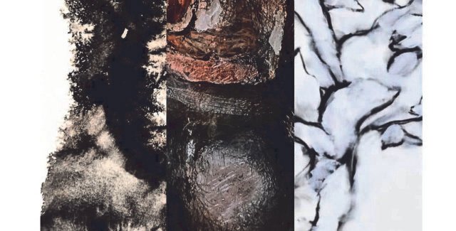 INTROSPECȚII ÎN LUMEA VIE @ CCPB