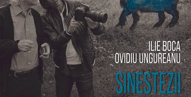 𝐒𝐢𝐧𝐞𝐬𝐭𝐞𝐳𝐢𝐢 𝐯𝐢𝐳𝐮𝐚𝐥𝐞”, 𝐜𝐮 𝐈𝐥𝐢𝐞 𝐁𝐨𝐜𝐚 𝐬̦𝐢 𝐎𝐯𝐢𝐝𝐢𝐮 𝐔𝐧𝐠𝐮𝐫𝐞𝐚𝐧𝐮 @ Muzeul de Artă Constanța