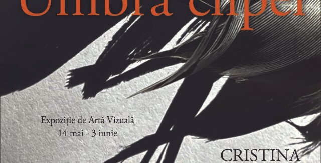 Umbra clipei @ Târgu Jiu