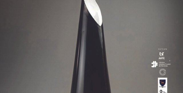 Moving elements @ Muzeul Național ”Constantin Brâncuși” Târgu Jiu
