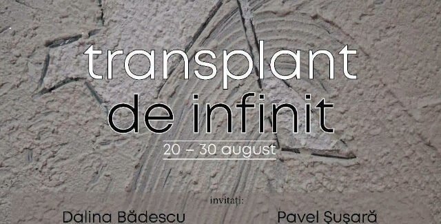 Transplant de infinit @ Târgu Jiu